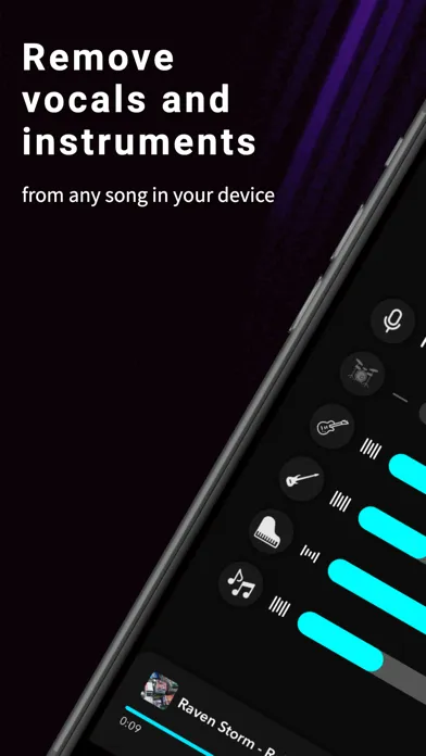 Splitteroo: Vocal Remover 스크린샷