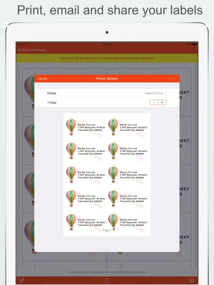 Label Printer Lite iPad 应用截图