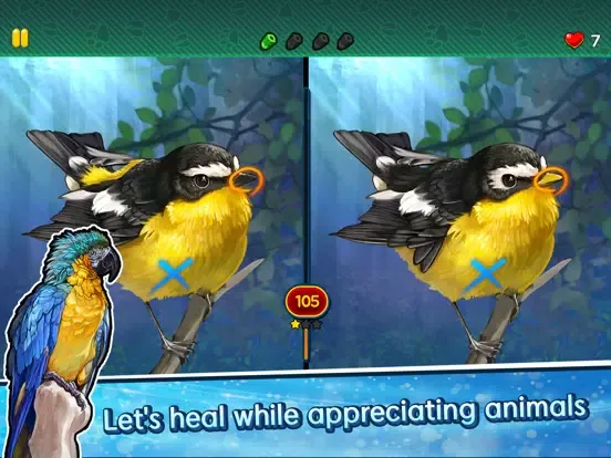Zrzuty ekranu Find the Difference - Animals iPad 