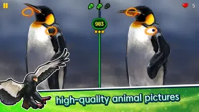 Zrzuty ekranu Find the Difference - Animals