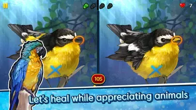 Zrzuty ekranu Find the Difference - Animals
