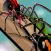 Spider Fight Simulator Battle