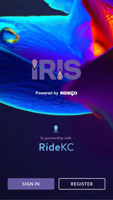 Tangkapan layar Iris - A Ride KC Partner
