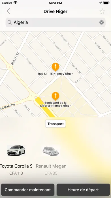 Drive Niger 스크린샷