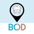 Ajman BOD