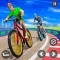 Offroad Bicycle Stunt Riding