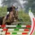 Riding & Jumping Derby Horse