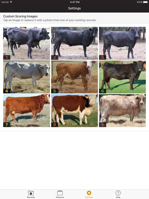 Ảnh chụp màn hình của Beef Cow BCS iPad 