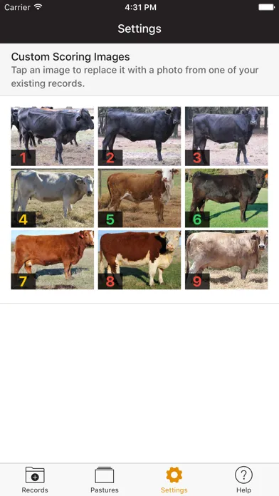 Ảnh chụp màn hình của Beef Cow BCS