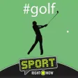 Golf RightNow