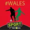 Wales Football