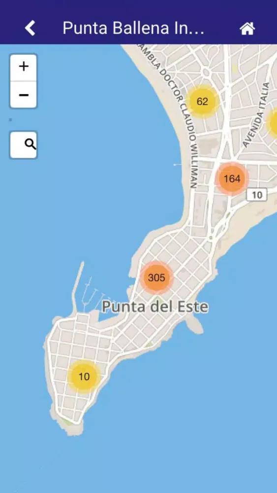 Punta Ballena Inmobiliaria應用截圖