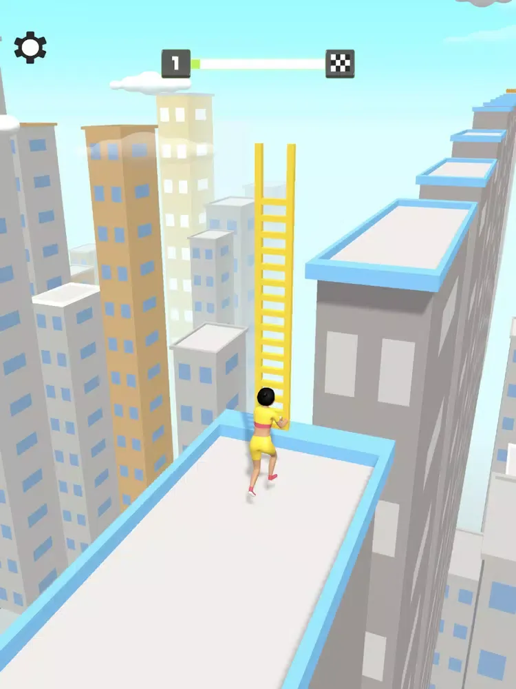 Perfect Bridge iPad  Screenshots