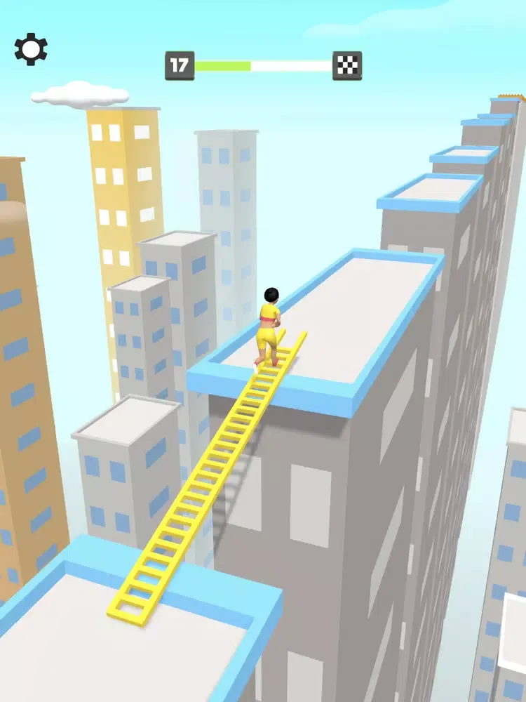 Perfect Bridge iPad  Screenshots