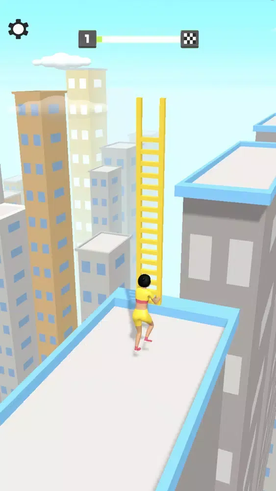 Perfect Bridge Screenshots