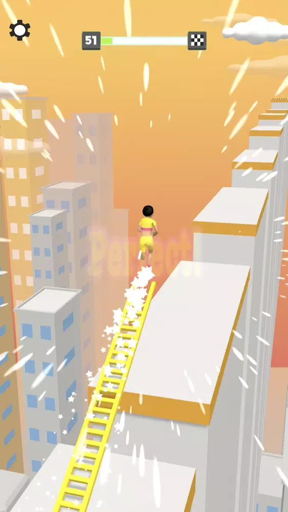 Perfect Bridge Screenshots