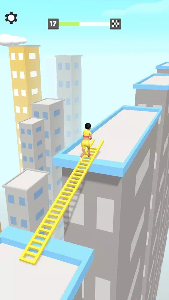 Perfect Bridge Screenshots