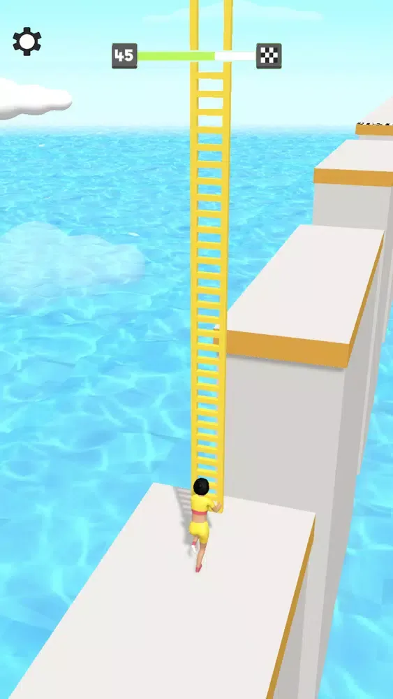 Perfect Bridge Screenshots