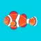 FishCure