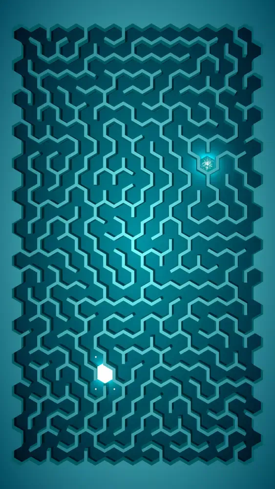 Tangkapan layar Maze: path of light
