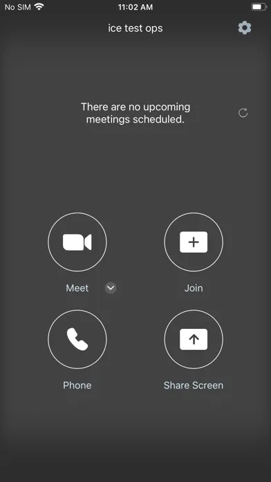 Скриншоты RingCentral Meetings Rooms