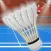 Badminton Premier League