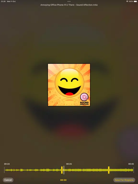 Tangkapan layar Ringo Ringtone Maker Converter iPad 