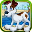 Dog Rescue Run : Race to Fetch the Bone for Boy Dog Rescue Run : Race to Fetch the Bone for Boy
