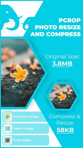 pCrop: Photo Resizer and Compr Screenshots