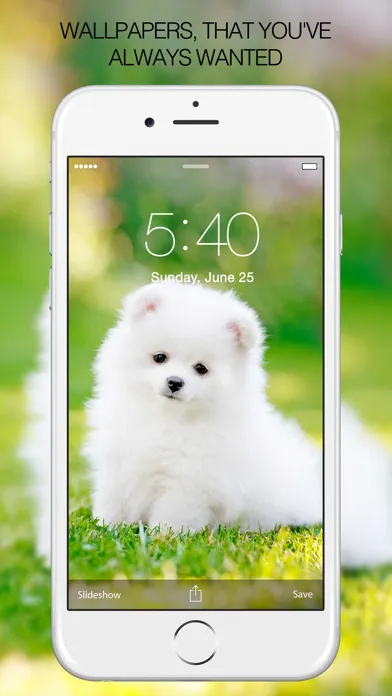 Puppy Wallpapers – Cute Puppy Pictures & Images スクリーンショット