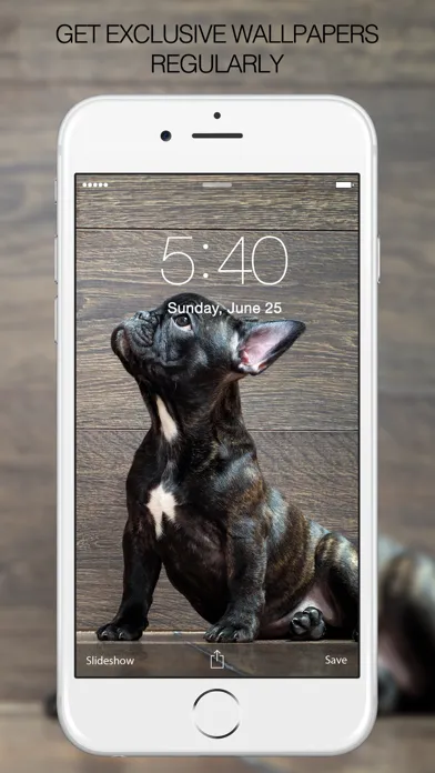Puppy Wallpapers – Cute Puppy Pictures & Images スクリーンショット
