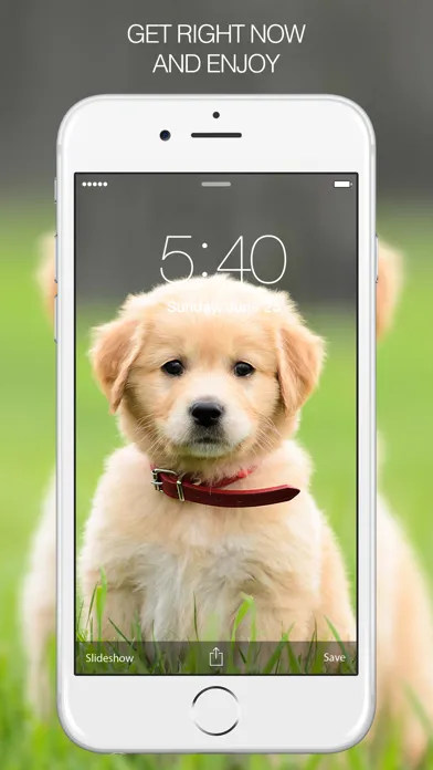 Puppy Wallpapers – Cute Puppy Pictures & Images スクリーンショット