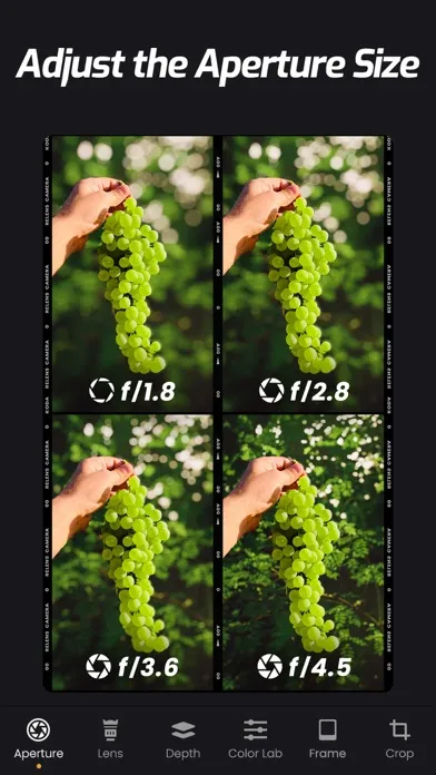 Ảnh chụp màn hình của ReLens Camera-DSLR Portrait