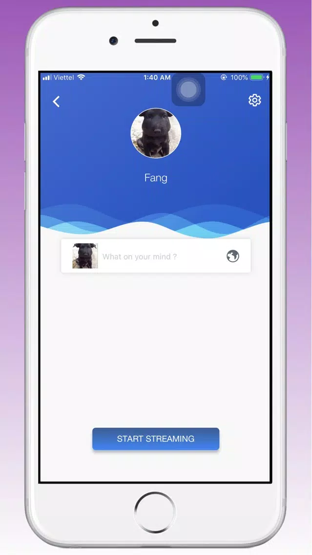 Tangkapan skrin Live Stream - Mirror Screen