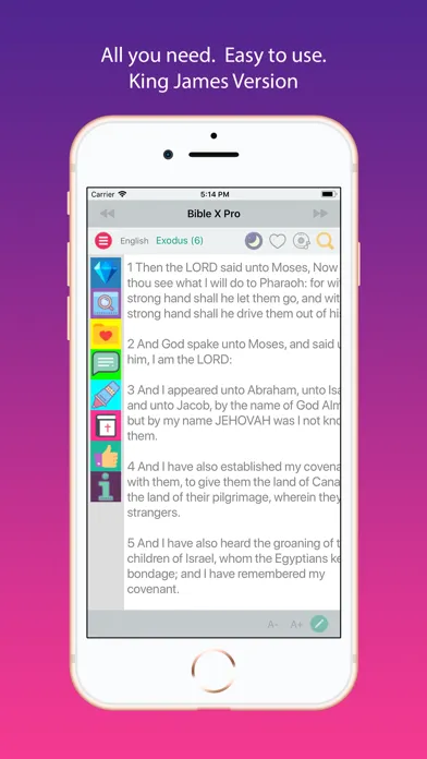 Capturas de tela do KJV King James Bible Offline