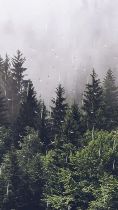 تصاویر Rain Calm Meditation