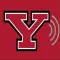 YSU Bluetooth Suite
