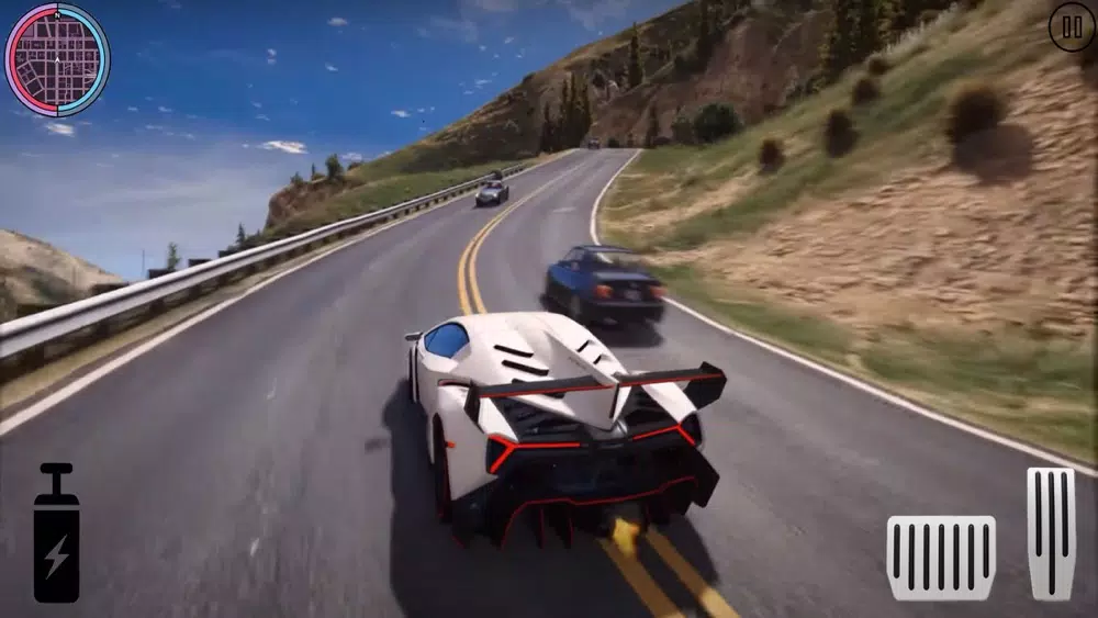 Real Driving Game 21应用截图
