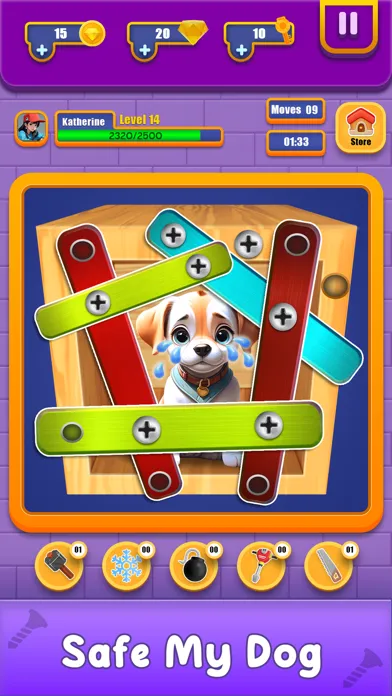 Nuts and Bolts Unscrew Puzzle应用截图