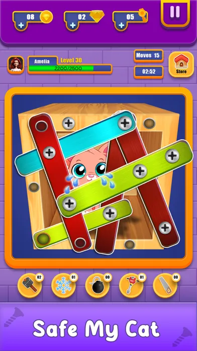 Nuts and Bolts Unscrew Puzzle应用截图