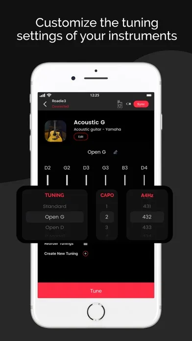 Roadie Tuner - Guitar Tuner Screenshots