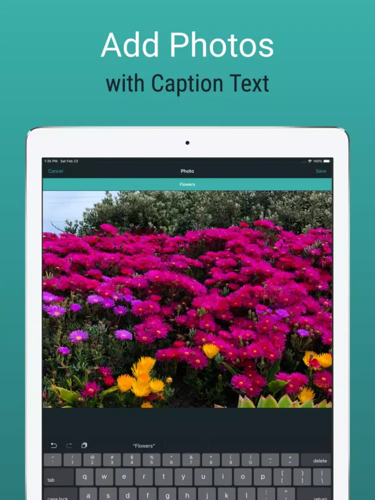 Tangkapan layar Logily iPad 