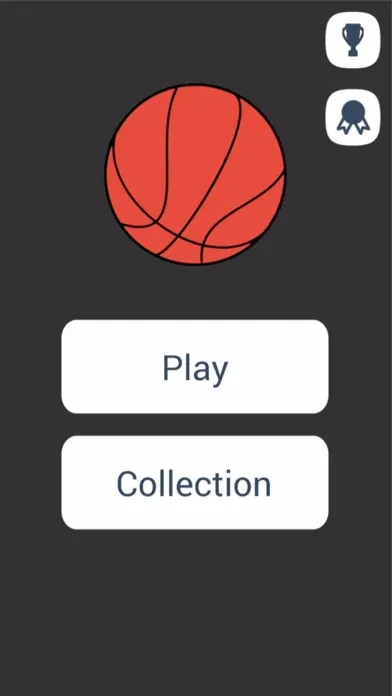 Basketball Stars.  NBA Photo Quiz 스크린샷
