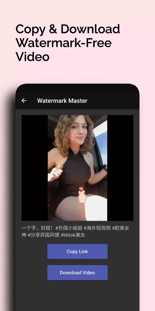 Video watermark removal應用截圖