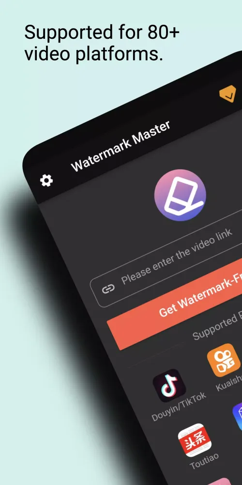 Video watermark removal應用截圖