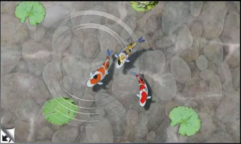 Capturas de tela do Baby Smart Games