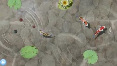 Скриншоты Fun Smart Games