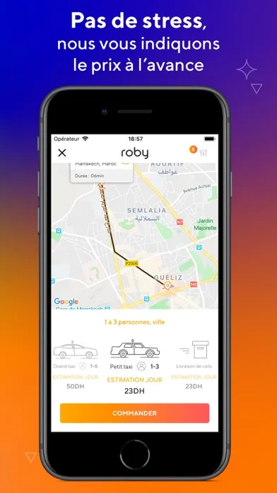 roby taxi Ekran Görüntüleri
