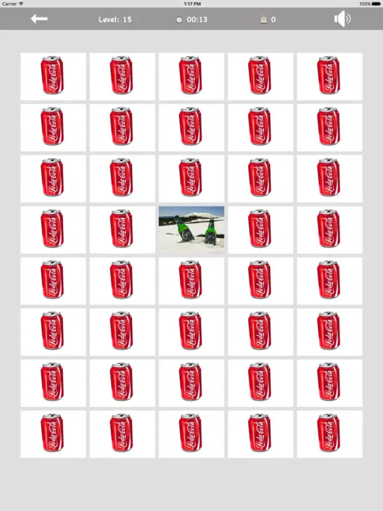 Memory Card Master iPad  스크린샷