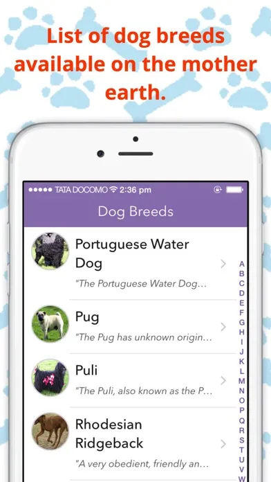 Capturas de pantalla de DogWiki